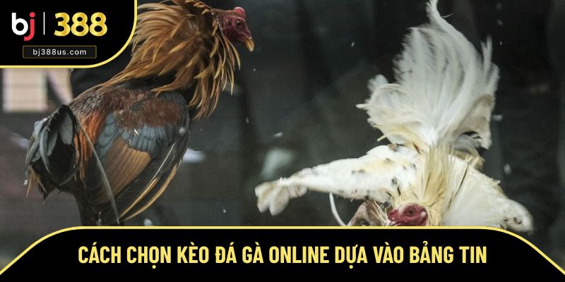 Hướng dẫn phân tích lịch sử cược