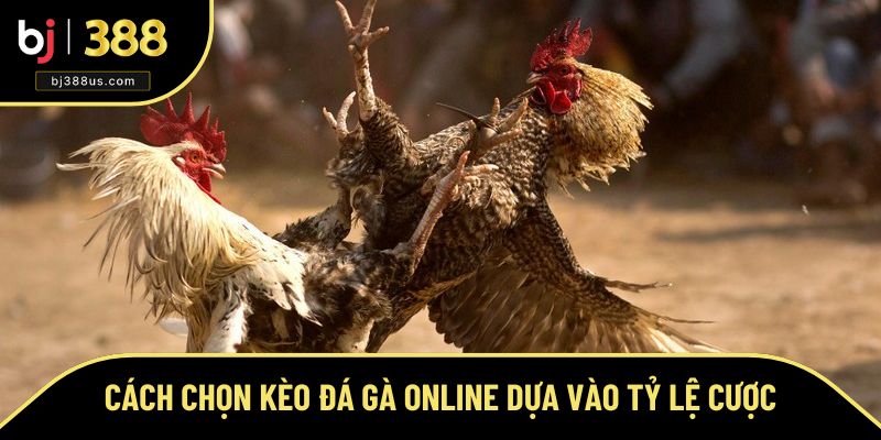 Nhận định kèo hay dựa vào bảng tỷ lệ
