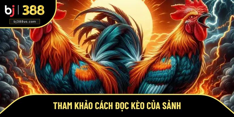 Tham khảo cách đọc kèo của sảnh