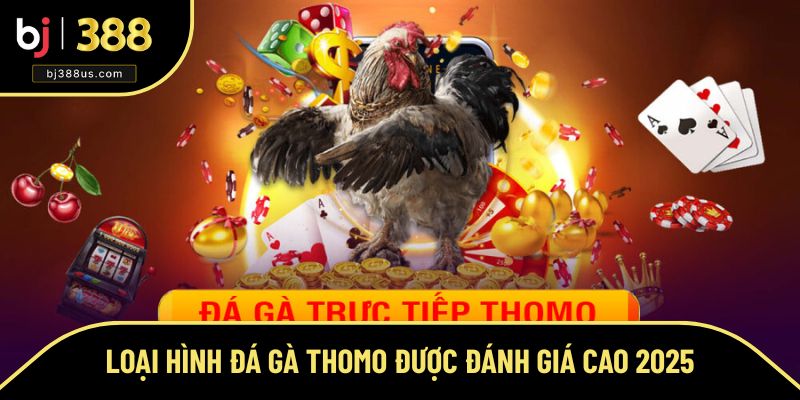 Tổng hợp các loại hình đá gà tại Thomo siêu hấp dẫn