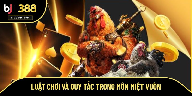 Luật chơi và quy tắc cần biết của trò đá gà Thomo