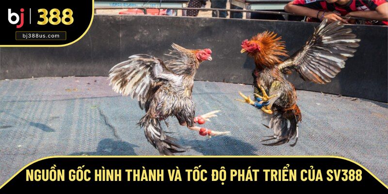 Nguồn gốc hình thành và tốc độ phát triển như vũ bão của SV388